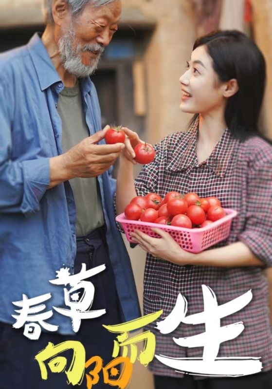 春草向阳而生全集(大结局)