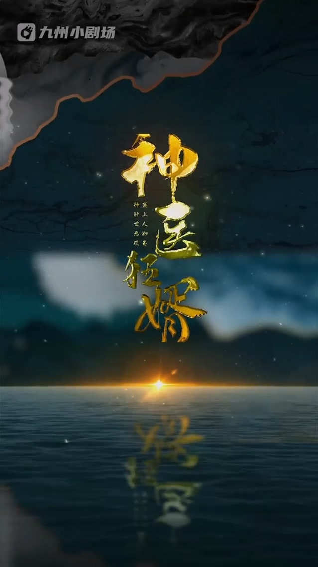 神医狂婿第20集