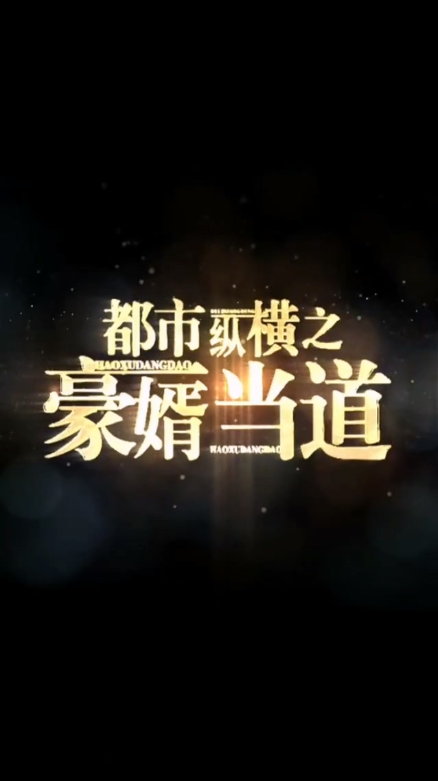 都市纵横之豪婿当道第09集