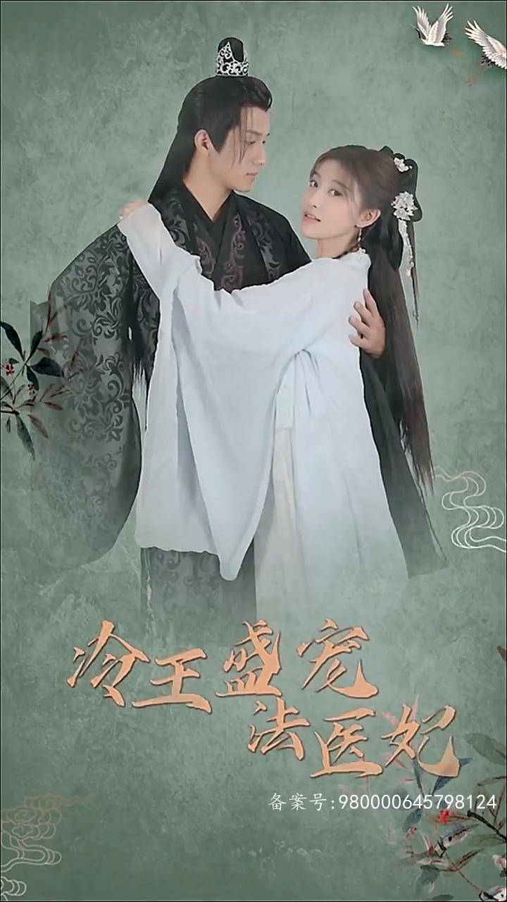 凤还巢：冷王盛宠法医妃第11集