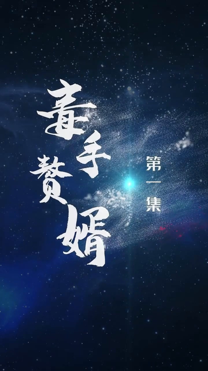 毒手赘婿第11集