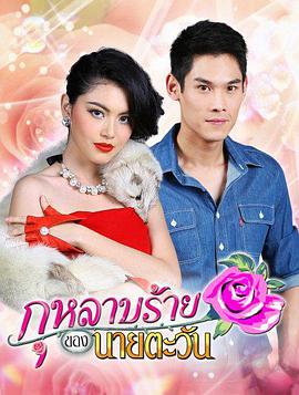 恶玫瑰公主第02集