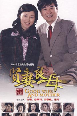 贤妻良母第28集