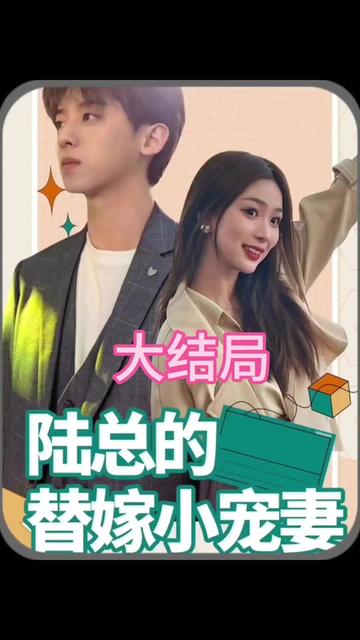陆总的替嫁小娇妻1-20集