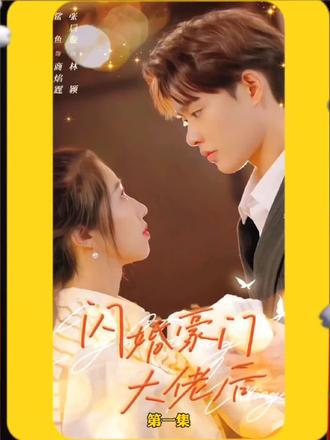 闪婚豪门大佬后1-15集