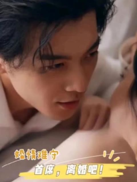 婚情难守：首席，离婚吧21-40集