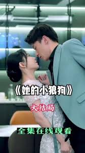 她的小狼狗41-60集(大结局)