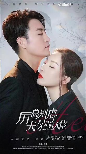 厉总别虐了，夫人才是真大佬21-40集