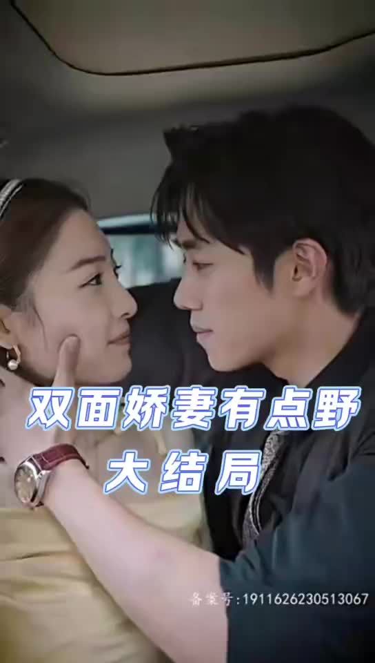 双面娇妻有点野21-40集