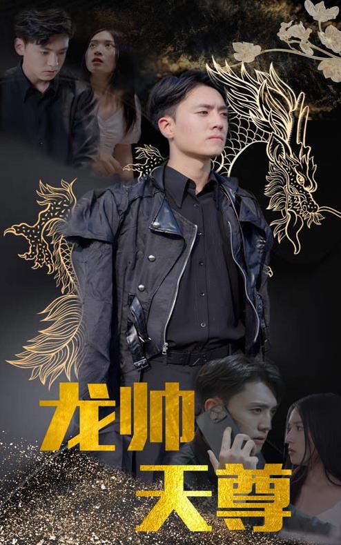 龙帅天尊21-40集