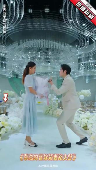 黎总的替嫁娇妻路太野11-30集