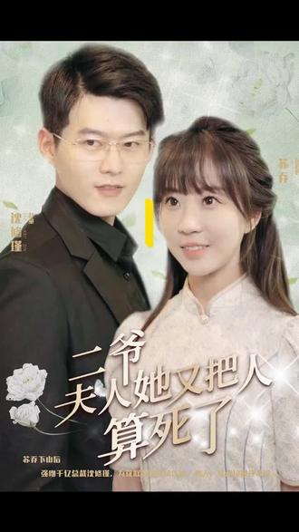 二爷，夫人又把人算死了21-40集