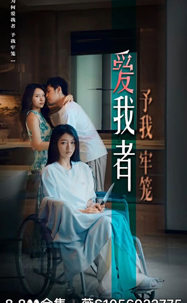 爱我者予我牢笼21-30集