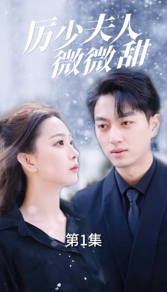 厉少夫人微微甜11-28集