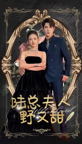 陆总夫人野又甜全集(大结局)