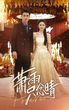 萧雨只念晴全集(大结局)