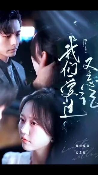 我们爱过又忘记全集(大结局)