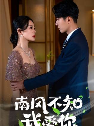 南风不知我爱你全集(大结局)