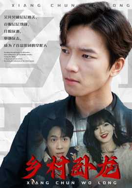 乡村卧龙全集(大结局)