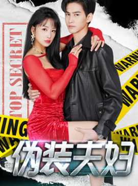 伪装夫妇全集(大结局)
