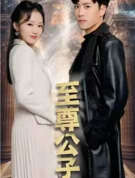 至尊公子全集(大结局)