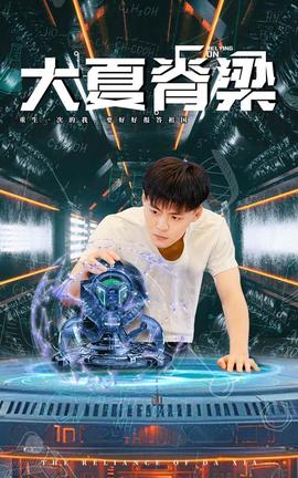 大夏脊梁全集(大结局)