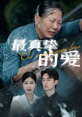 最真挚的爱全集(大结局)