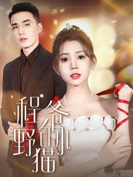 程爷的小野猫全集(大结局)