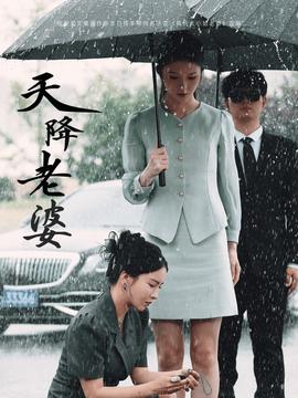 天降老婆全集(大结局)