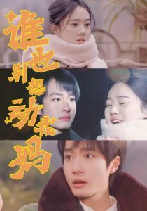 谁也别想动我妈全集(大结局)