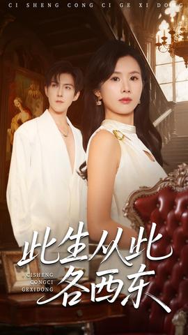 此生从此各西东(全集)