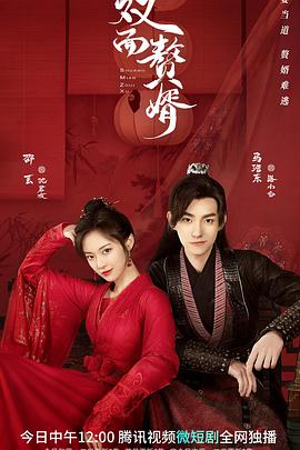 双面赘婿第15集