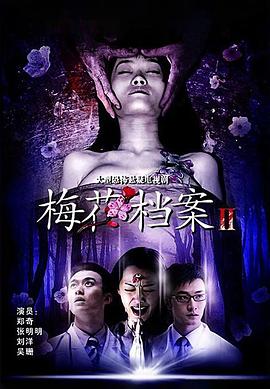 梅花档案2第01集